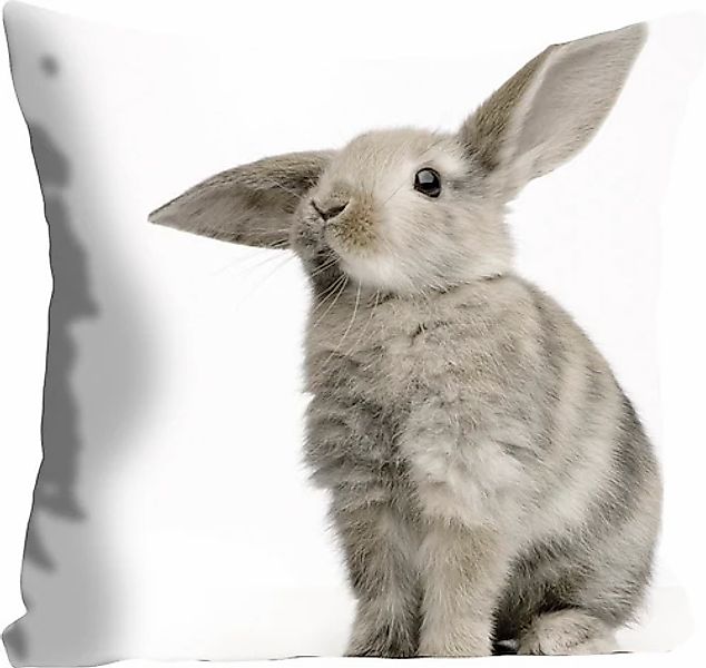 queence Dekokissen »Marwin«, mit einem grauen Hasen günstig online kaufen