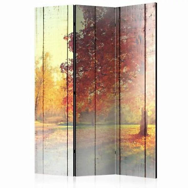 artgeist Paravent Autumn Sun [Room Dividers] mehrfarbig Gr. 135 x 172 günstig online kaufen