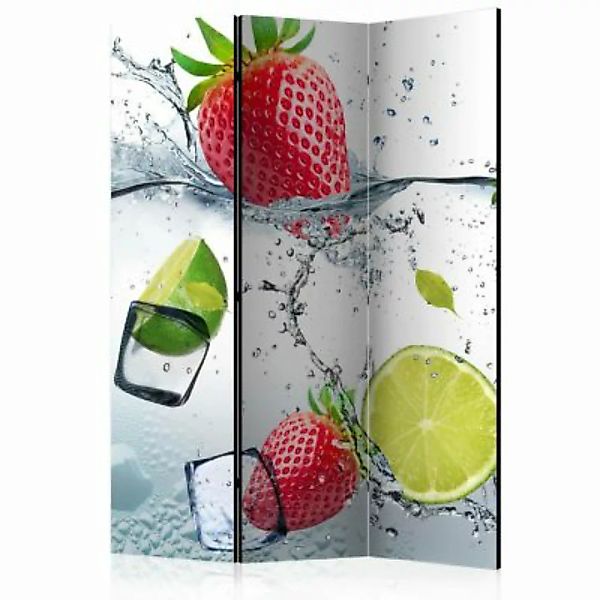 artgeist Paravent Fruit cocktail [Room Dividers] mehrfarbig Gr. 135 x 172 günstig online kaufen