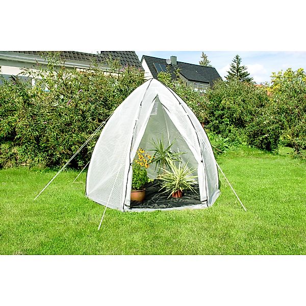 Vitavia Pflanzenschutzdach "Pflanzenzelt Hawaii "L"", BxTxH: 240x240x200 cm günstig online kaufen