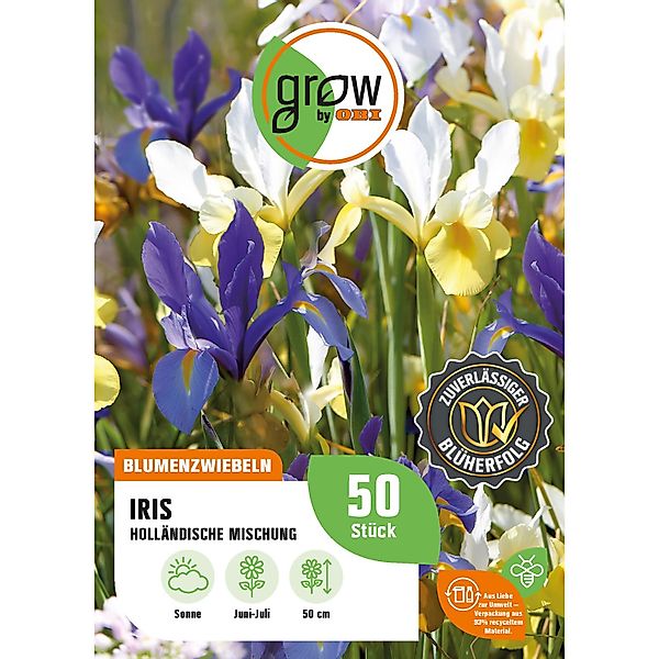 GROW by OBI Iris Mehrfarbig Höhe ca. 50 cm Iris hollandica günstig online kaufen