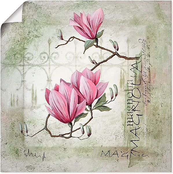 Artland Wandbild "Pinke Magnolie", Blumen, (1 St.), als Leinwandbild, Poste günstig online kaufen