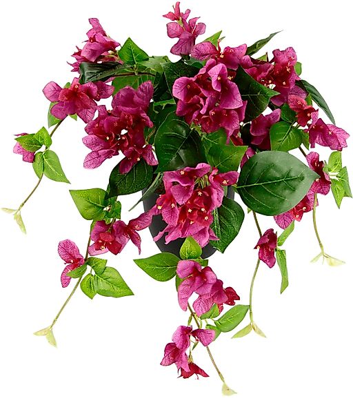 Kunstpflanze Bougainvillea, I.GE.A., Höhe 40 cm, günstig online kaufen