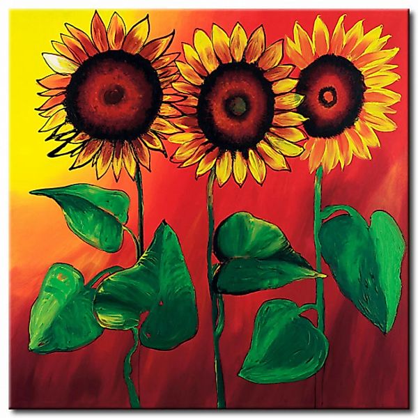 Bild auf Leinwand Drei idyllische Sonnenblumen  XXL günstig online kaufen