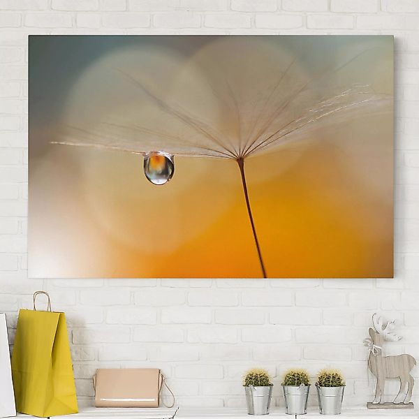 Leinwandbild - Querformat Pusteblume in Orange günstig online kaufen