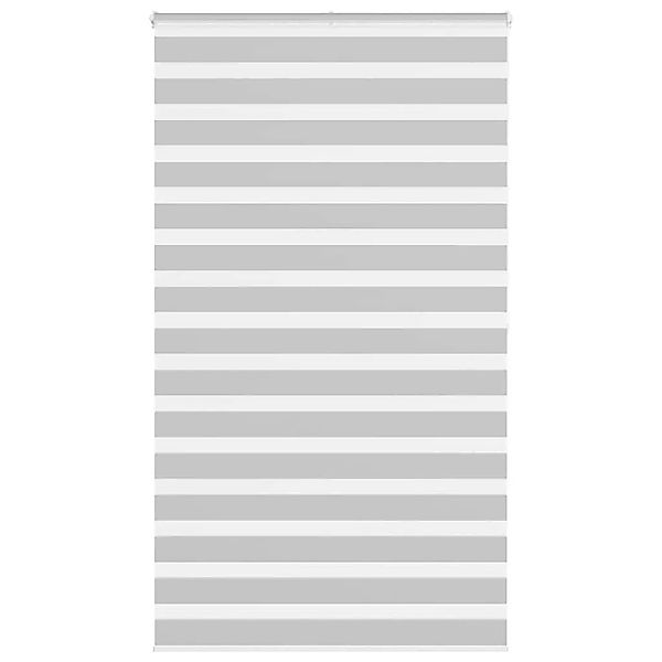 vidaXL Doppelrollo Hellgrau 130x200 cm Stoffbreite 125,9 cm Polyester 40144 günstig online kaufen