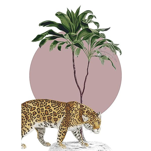 Komar Poster Botanical Garden Jaguar Dschungeltiere B/L: ca. 50x70 cm günstig online kaufen
