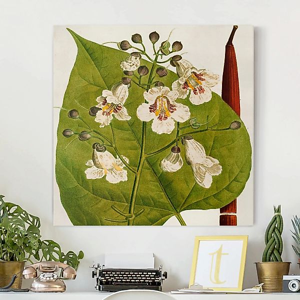 Leinwandbild Botanik - Quadrat Tableau Blatt Blüte Frucht V günstig online kaufen
