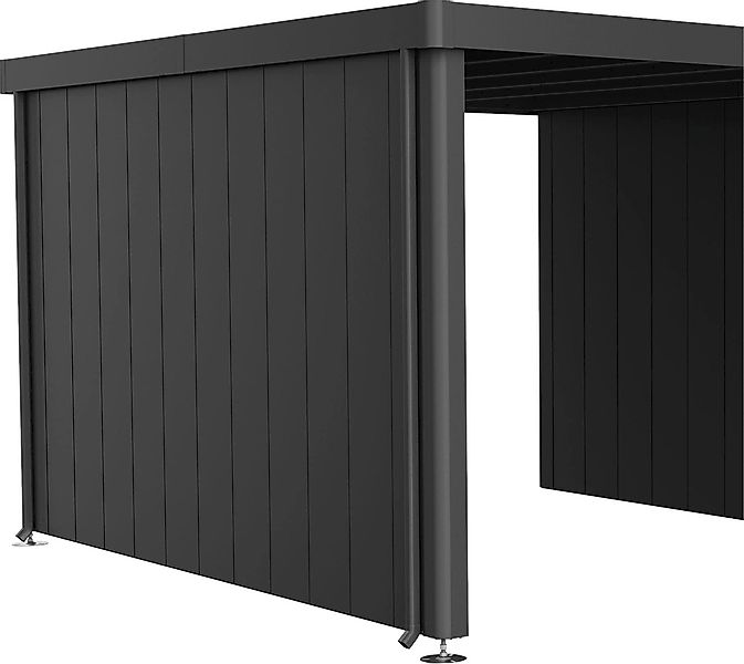 Biohort Gerätehaus-Seitenwand für Seitendach von Neo 4A-4D günstig online kaufen