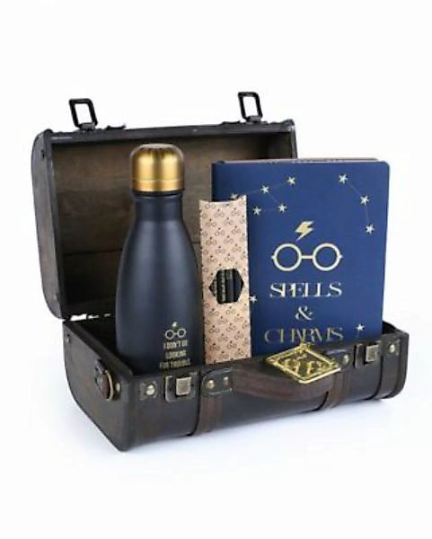 Trouble Finds Me Harry Potter Geschenkbox als Fanartikel HP Fans Dekoobjekt günstig online kaufen