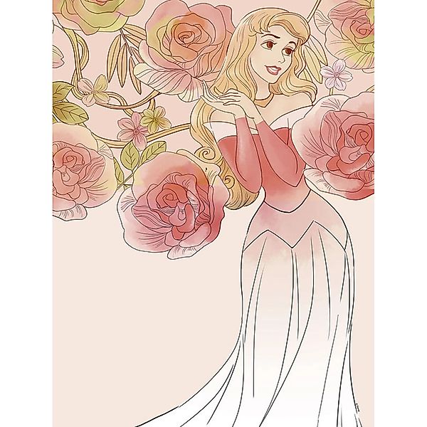 Disney Poster Dornröschen Rosa 30 x 40 cm 610131 günstig online kaufen
