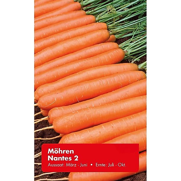 Möhre Nantes 2 Zoll günstig online kaufen