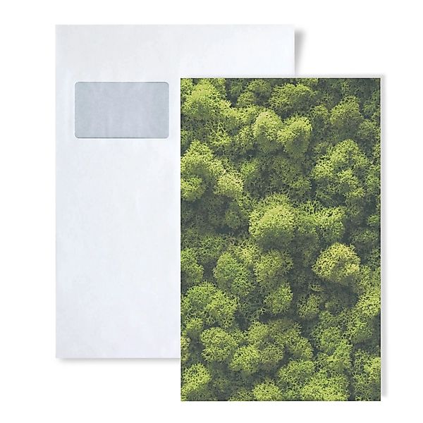 PROFHOME 1 MUSTERSTÜCK S-394051-GU DIN A4 MUSTER der Floralen Tapete günstig online kaufen