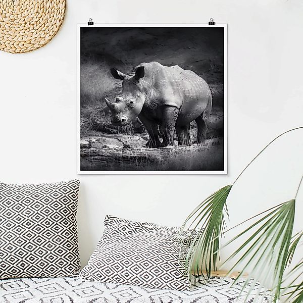 Poster - Quadrat Lonesome Rhinoceros günstig online kaufen