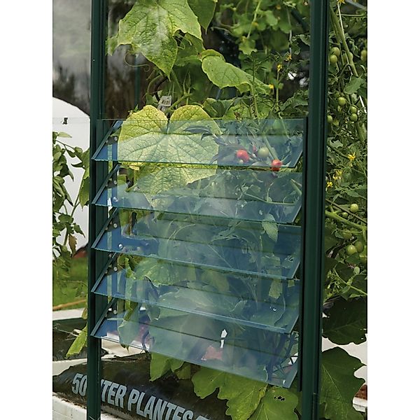 Vitavia Fenster "Lamellenfenster", grün, BxH: 61x45 cm günstig online kaufen