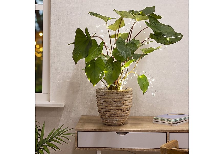 MARELIDA LED-Lichterkette LED Draht Lichtbündel Pflanzenbeleuchtung Blumens günstig online kaufen