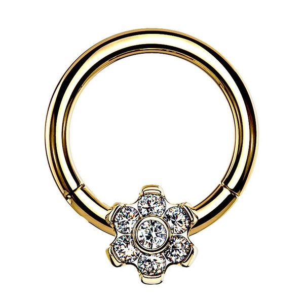 Taffstyle Nasenpiercing Titan Septum Helix Scharnier günstig online kaufen