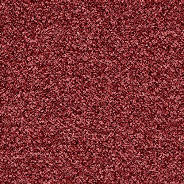 Bodenmeister Teppichboden »Juno, Velours - meliert, Made in Belgium«, recht günstig online kaufen