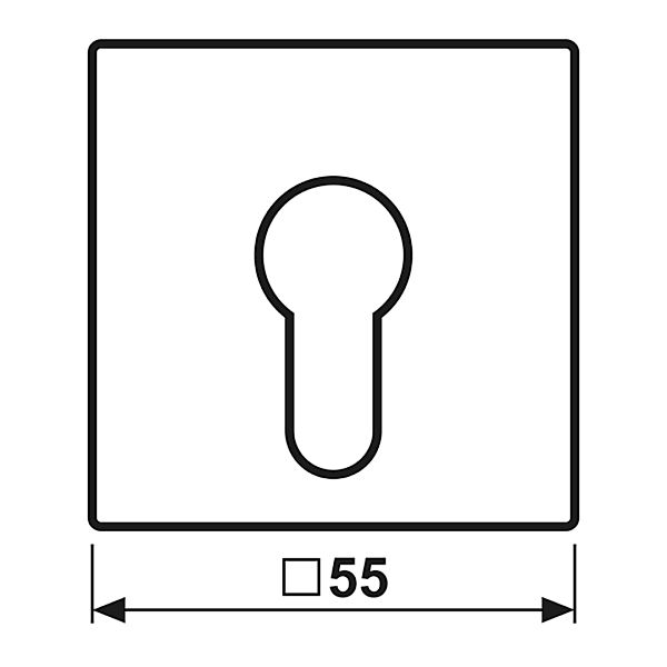 Jung Abdeckung aws für Schlüsselschalt. A 525 PL WW - A525PLWW günstig online kaufen