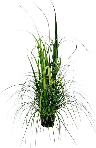 Kunstpflanze Gras im Topf Gras, I.GE.A., günstig online kaufen