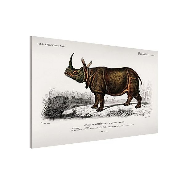 Magnettafel Natur & Landschaft - Querformat 3:2 Vintage Lehrtafel Nashorn günstig online kaufen