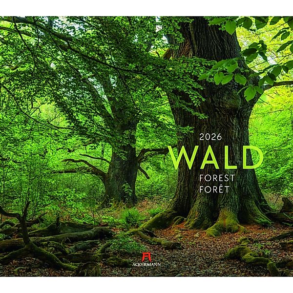 Wald Kalender 2026 günstig online kaufen