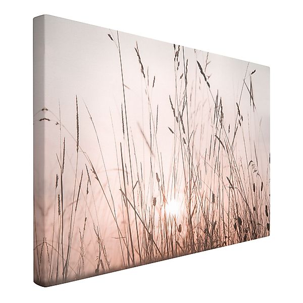 Bilderdepot24 Leinwandbild Kunstdruck Sommerabend creme beige günstig online kaufen