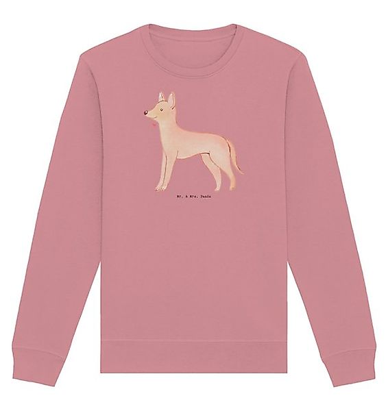 Mr. & Mrs. Panda Longpullover Größe S Pharaonenhund Moment - Canyon Pink - günstig online kaufen