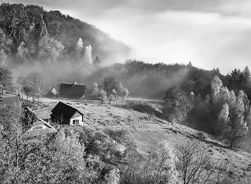 Papermoon Fototapete "Landschaft schwarz & weiß" günstig online kaufen