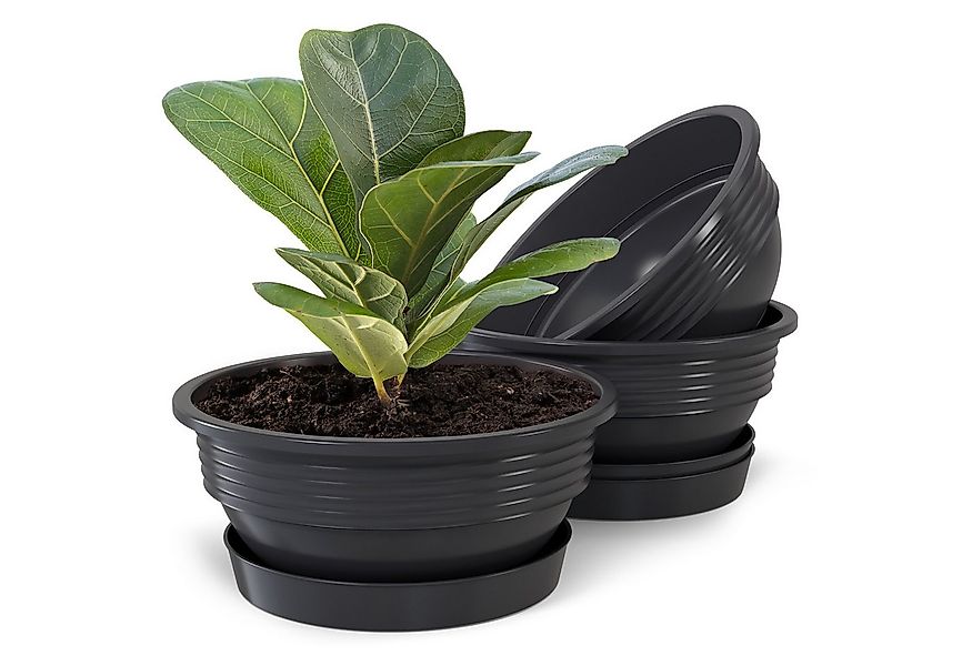 Plastard Pflanzschale Pflanzschalen mit Untersetzer Otto 3er Set Anthrazit günstig online kaufen