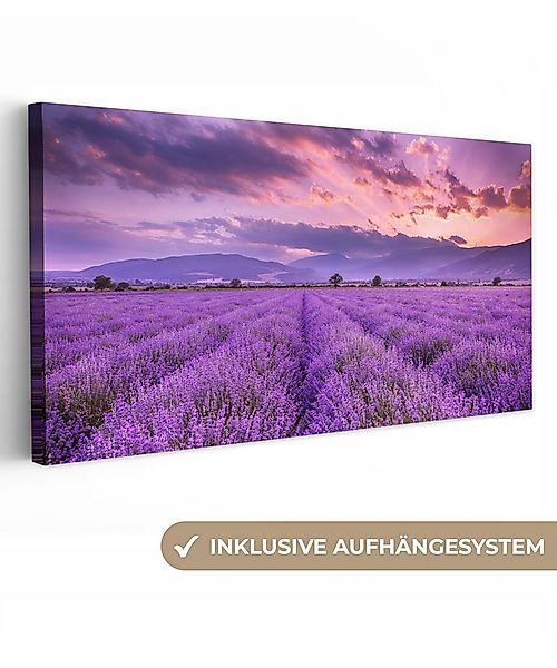 OneMillionCanvasses® Leinwandbild Panorama Lavendel - Lila - Blumen - Feld, günstig online kaufen