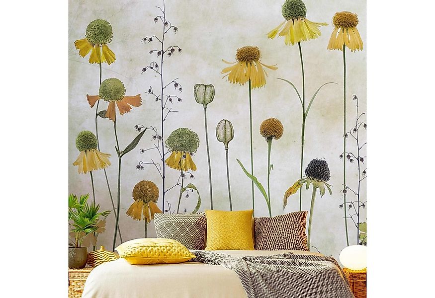 Bilderdepot24 Fototapete Blumen Helenium Blüten Blumentapete Floral Natur V günstig online kaufen