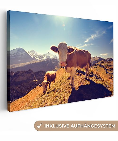 OneMillionCanvasses® Leinwandbild Kühe - Licht - günstig online kaufen