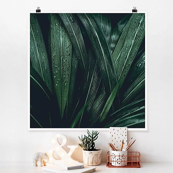 Poster Blumen - Quadrat Grüne Palmenblätter günstig online kaufen