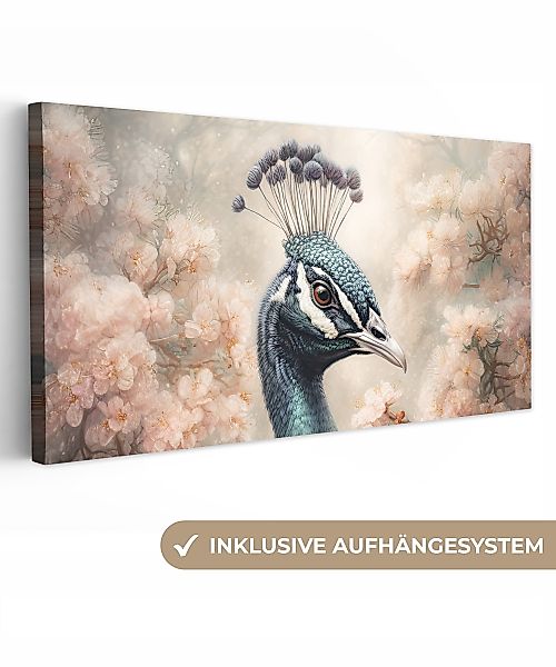 OneMillionCanvasses® Leinwandbild Panorama Pfau - Vögel günstig online kaufen