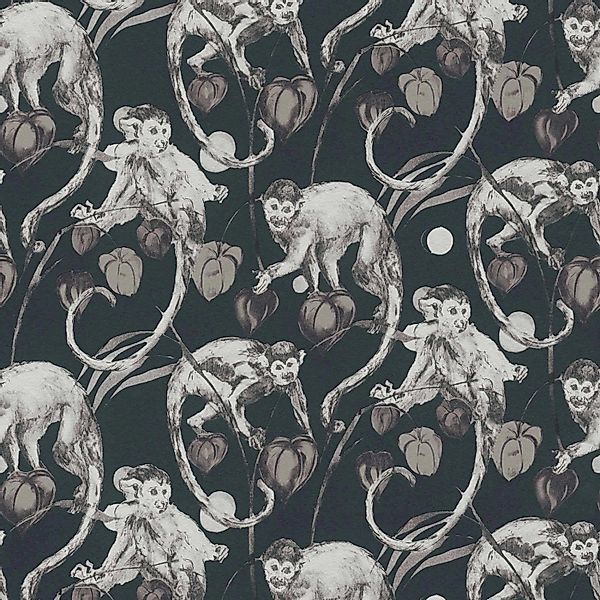 Bricoflor Vlies Affentapete Schwarz anthrazit Graue Vliestapete mit Affe un günstig online kaufen