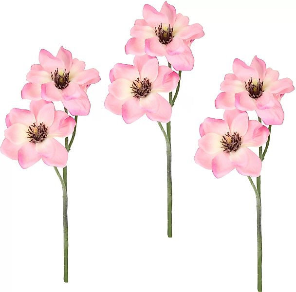 I.GE.A. Kunstblume "Magnolie", Künstlicher Magnolienzweig, 3er Set günstig online kaufen