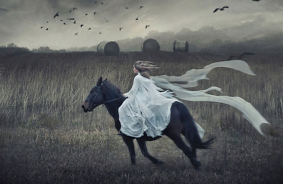 Papermoon Fototapete "PFERD IM GALLOP-TIER ROMANTISCH SCHÖNHEIT STIMMUNG XX günstig online kaufen