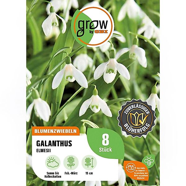 GROW by OBI Galanthus elwesii Weiß 8 Stück günstig online kaufen