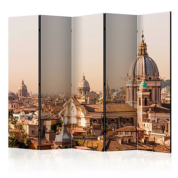5-teiliges Paravent - Rome - Bird's Eye View Ii [room Dividers] günstig online kaufen