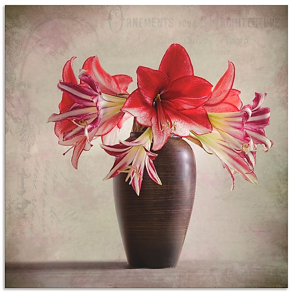 Artland Wandbild "Amaryllis Vintage II", Blumen, (1 St.), als Alubild, Outd günstig online kaufen