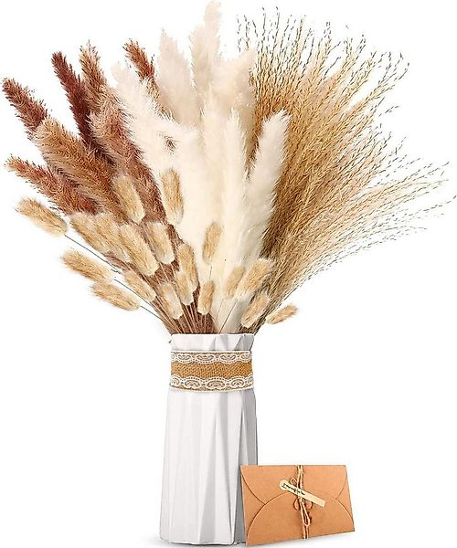 Trockenblume für Hochzeits-Boho-Blumen und Tischdekoration zu Hause, Coonoo günstig online kaufen