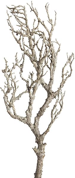 Kunstzweig Deko-Ast Zweig, Botanic-Haus, Höhe 90 günstig online kaufen