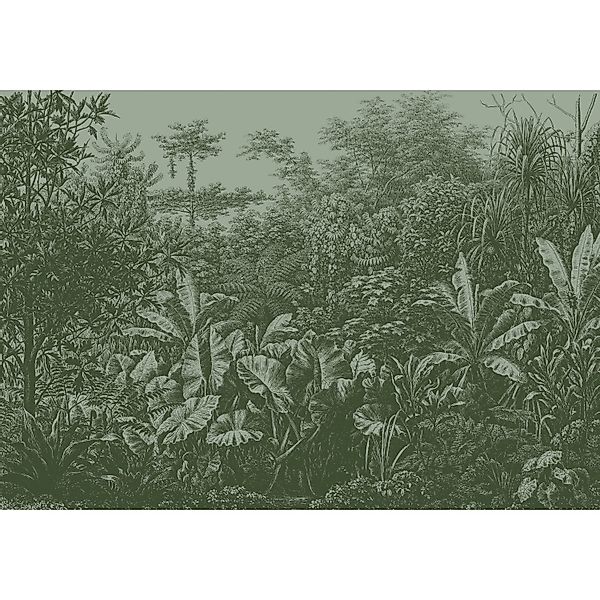 LOOKS by Wolfgang Joop Fototapete Vlies Rainforest Grün 2,7 m x 3,5 m FSC® günstig online kaufen