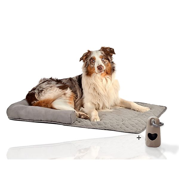 Rohrschneider Tierdecke Couchkissen Hund Hundebett Sofaschutz günstig online kaufen