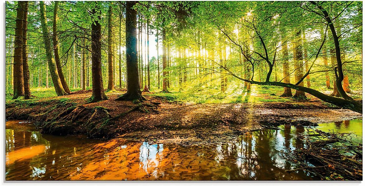 Artland Glasbild "Wald mit Bach", Wald, (1 St.), in verschiedenen Größen günstig online kaufen