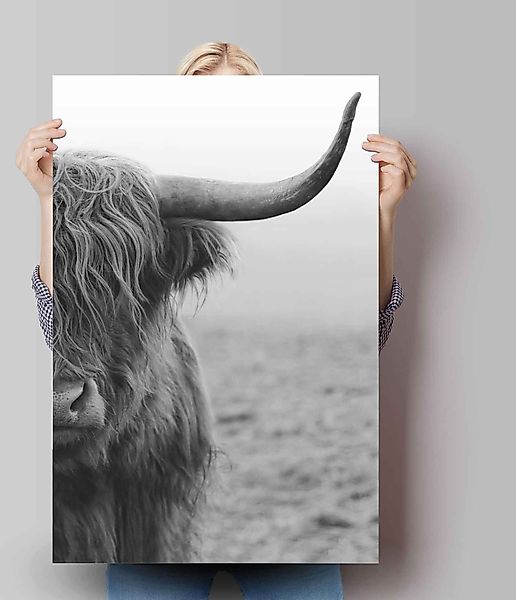 Reinders Poster "Poster Highlander Bulle" Kuh 1 Stk. tlg. günstig online kaufen