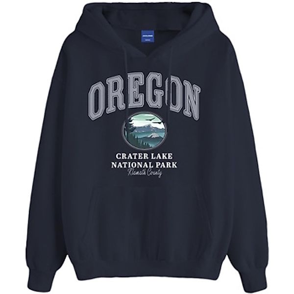 Jack & Jones  Sweatshirt Kapuzenpullover BRADLEY USSTATE Hoodie günstig online kaufen