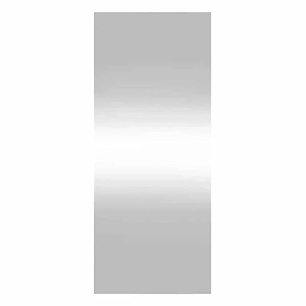 vidaXL Wandspiegel 40x100 cm Glas Rechteckig 350448 günstig online kaufen