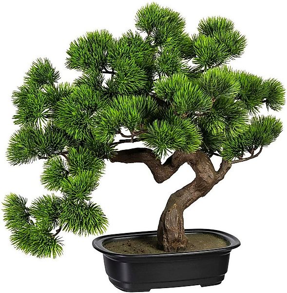 Kunstbonsai Bonsai Kiefer Bonsai Kiefer, Creativ green, Höhe 40 cm günstig online kaufen